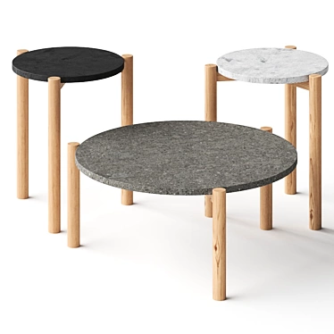 Elegant Lodge Coffee Tables 3D model image 1 