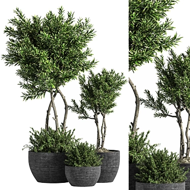 14-Piece Indoor Plant Set 3D model image 1 