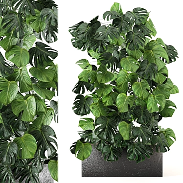 Leafy Haven - Indoor Plant Set 3D model image 1 