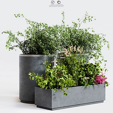 Premium Indoor Plant Decor 3D model image 1 