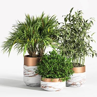 Indoor Greenery Set 3D model image 1 