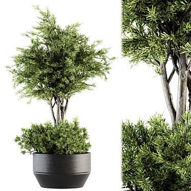 Fresh Greenery: Outdoor Plant Set 3D model image 1 