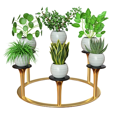 Versatile Indoor Plants: 2013 Edition 3D model image 1 