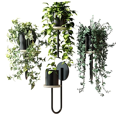Title: CIGALES WALL: Stylish Hanging Planters 3D model image 1 