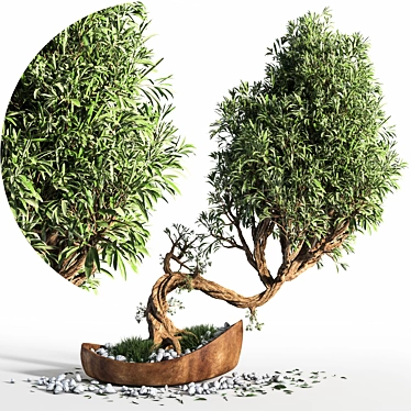 Artistic Bonsai Plant Sculpture 3D model image 1 