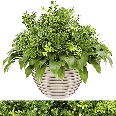 Premium Plant Collection: Volume 154 3D model image 1 