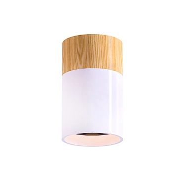Wood Ceiling Lamp 2014 3D model image 1 