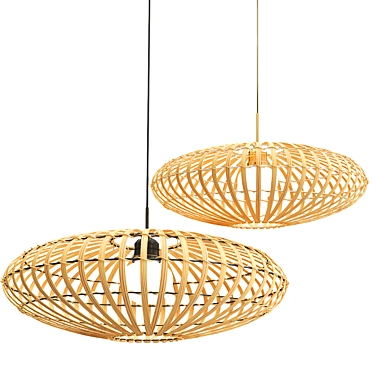 Elegant Anya Pendant Lamp 3D model image 1 