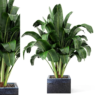 Exquisite Indoor Plant Collection 3D model image 1 