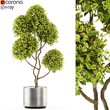 Exquisite Greenery Collection 3D model image 1 