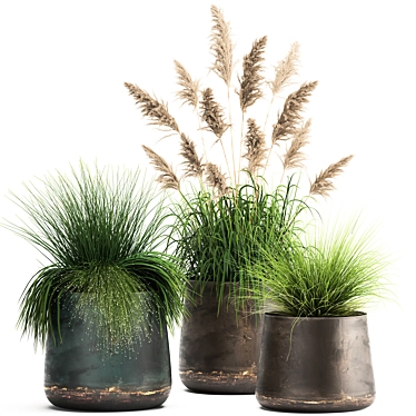 Exotic Plant Collection - Reclaimed Iron Pots 3D model image 1 