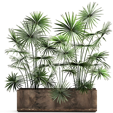 Tropical Palm Collection: Exotic Indoor & Outdoor Plants 3D model image 1 