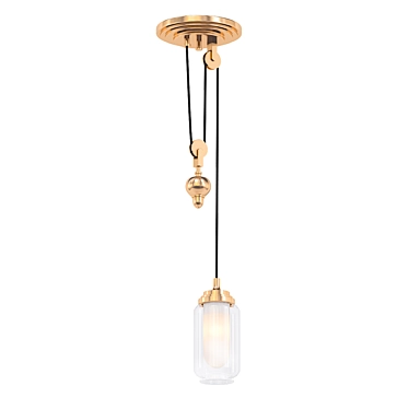 Kohler Adjustable Pulley Pendant 3D model image 1 