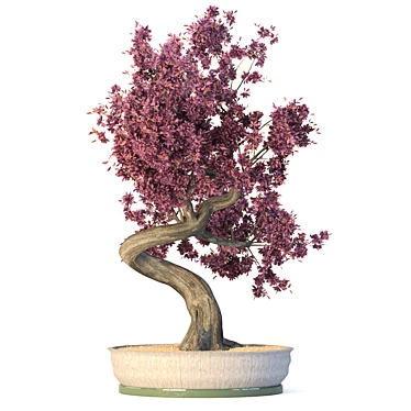 Exquisite Bonsai Tree: Versatile, High-Quality 3D model image 1 