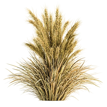 24-Piece Wheat Bush Set: Natural and Realistic 3D model image 1 