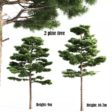 Natural Pine Tree 3D Model 3D model image 1 