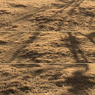 Dried Grass Landscape: 30 Scattered Patterns 3D model image 1 