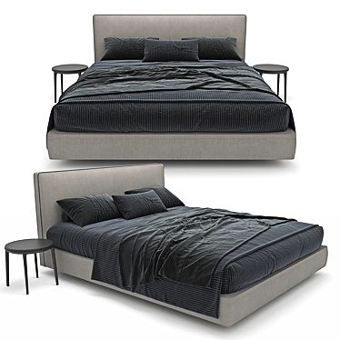 Luxury Richard B&B Italia Bed 3D model image 1 