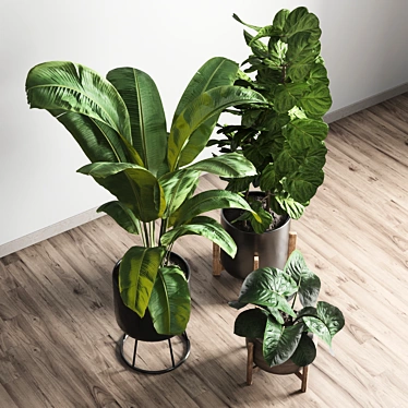 Elegant Indoor Plant Vase 3D model image 1 