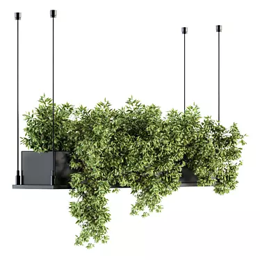 217 Indoor Hanging Plant Box Set 3D model image 1 
