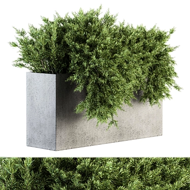 Garden Bliss: Hanging Plant Box 3D model image 1 