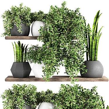 Fabulous Plant Shelfies: Stylish and Functional 3D model image 1 