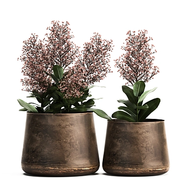 Metallic Plant Collection: Exotic & Tropical Skimmia 3D model image 1 