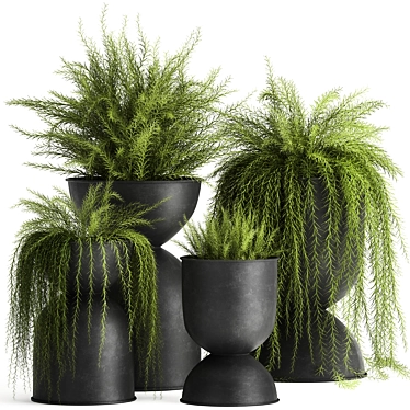 Exotic Black Pot Plant Collection 3D model image 1 