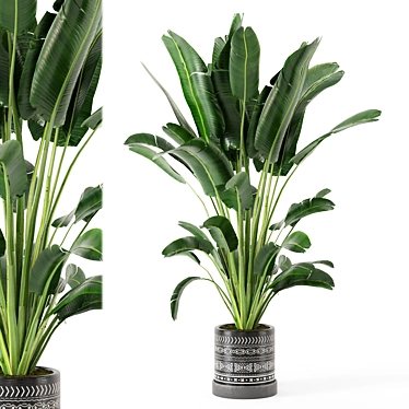 Concrete Pot Indoor Plant Set 3D model image 1 