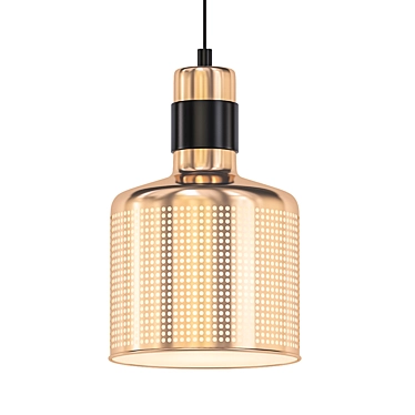 FARA Modern Brass Pendant 3D model image 1 