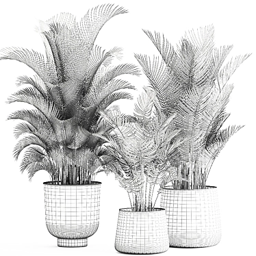 Tropical Plant Collection: Exotic Palms in Rustic Pots 3D model image 1 