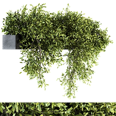 206 Outdoor Hanging Plant Set 3D model image 1 