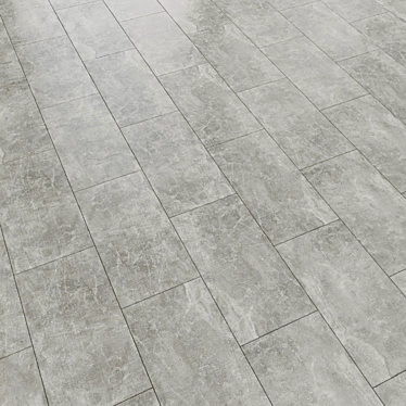 Stone Star Gray Laminate Flooring 3D model image 1 