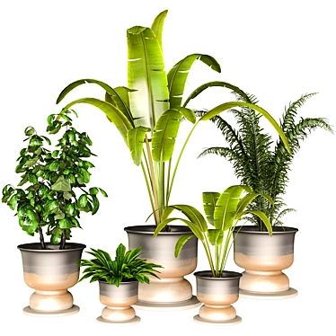 Green Thumb Indoor Plant Set 3D model image 1 