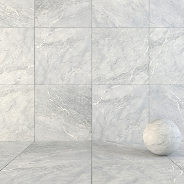 Savoy Graphite 120x120 Wall & Floor Tiles 3D model image 1 