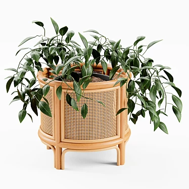 Boho Rattan 12" Planter 3D model image 1 