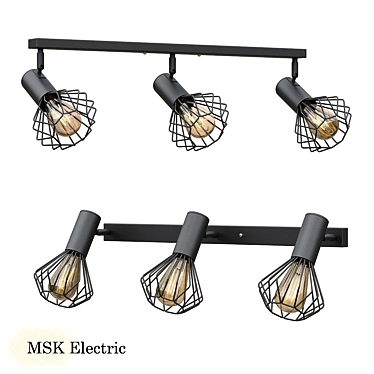 Lamp MSK Electric Diadem NL 22151-3
Elegant Electric Ceiling Lamp 3D model image 1 