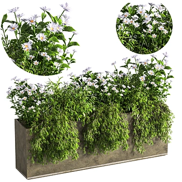 Concrete Box Outdoor Tree 3D model image 1 