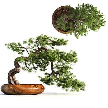 Bonsai Master Kit: 3D Model & Render 3D model image 1 