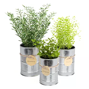 Fresh Herb Trio for the Kitchen 3D model image 1 