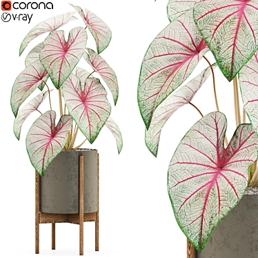 Exquisite Plants Collection: 519 3D model image 1 