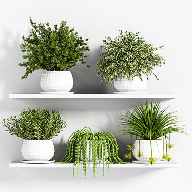 Botanical Bliss: Indoor Plant Set 3D model image 1 