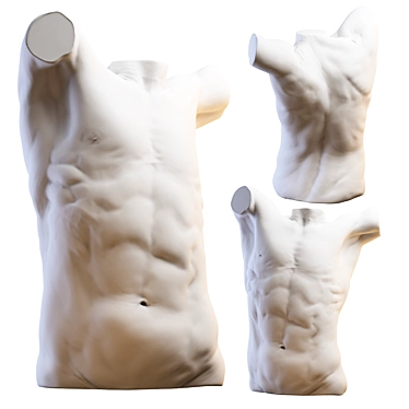 3D Torso Model - 2013 Version 3D model image 1 