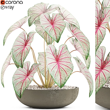 Exquisite Plants - Collection 521 3D model image 1 