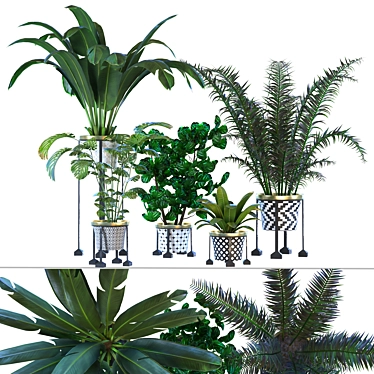 Green Living: Indoor Plant Vol 01 3D model image 1 