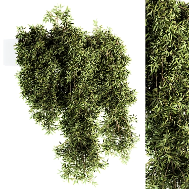 Lush Greenery: Outdoor Hanging Plants 3D model image 1 