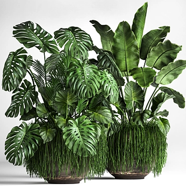 Tropical Plant Collection 3D model image 1 