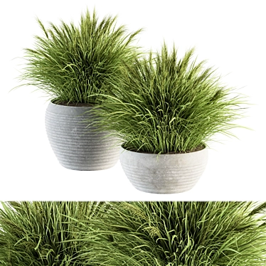 Fresh Green Grass in Pot 3D model image 1 