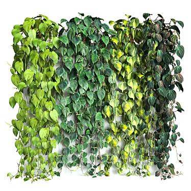 Tropical Philodendron Mix: 4 Stunning Varieties 3D model image 1 