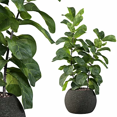 Ficus Lyrata: Exquisite Foliage in Felt Pot 3D model image 1 